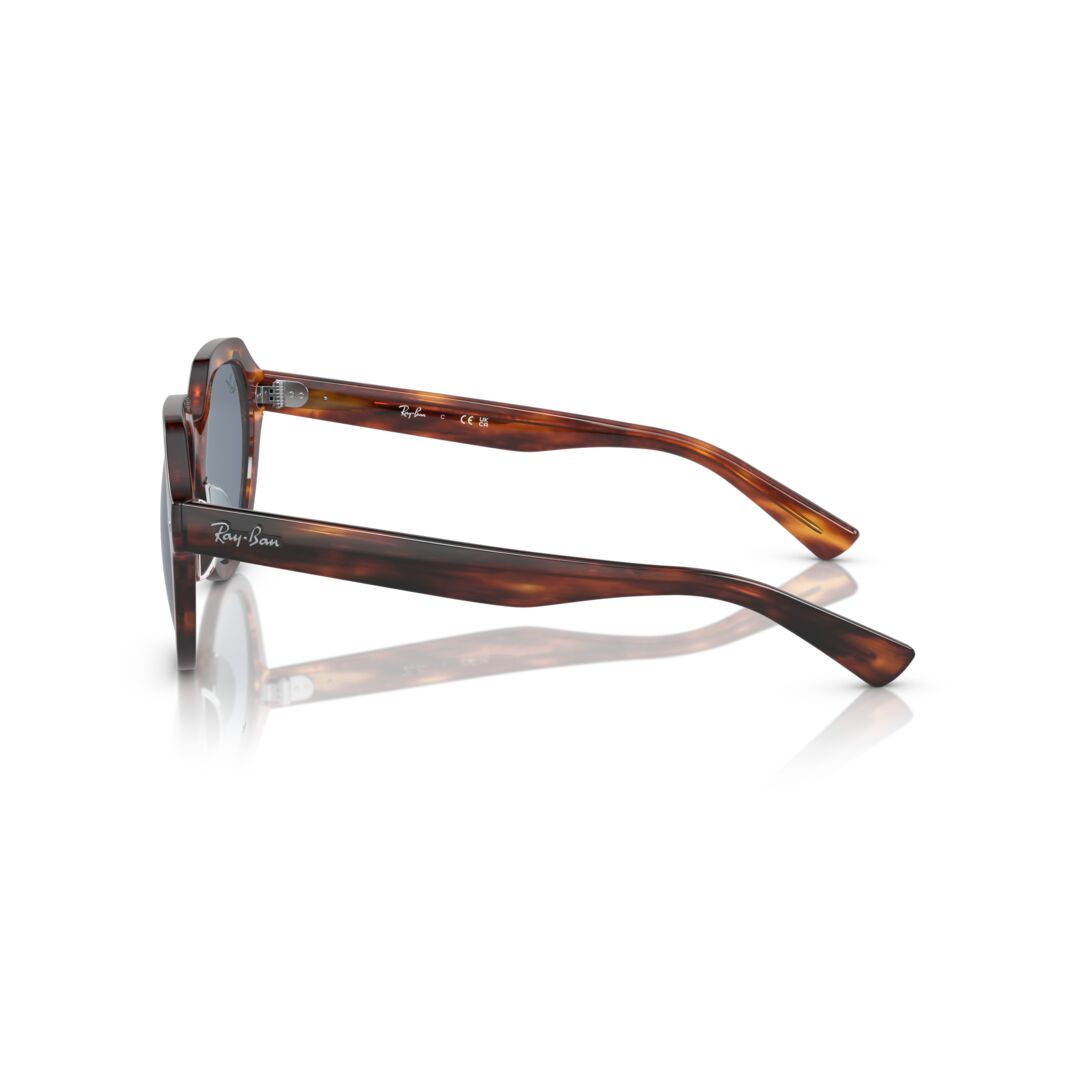 Gafas De Sol Ray-Ban 0RB4399 Unisex Color Havana