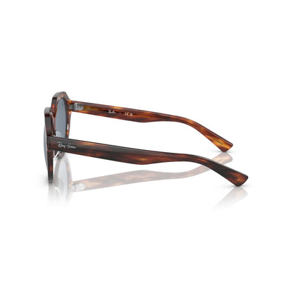 Gafas De Sol Ray-Ban 0RB4399 Unisex Color Havana