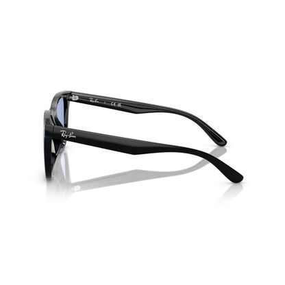 Gafas De Sol Ray-Ban 0RB4420 Unisex Color Negro