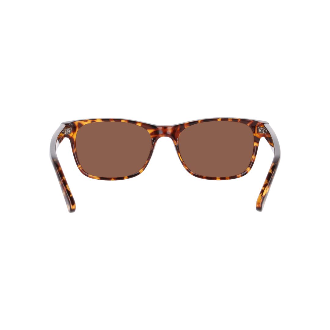 Gafas De Sol Seen 0NE6078 Unisex Color Havana