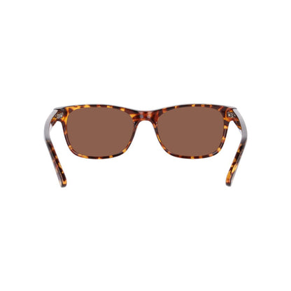 Gafas De Sol Seen 0NE6078 Unisex Color Havana