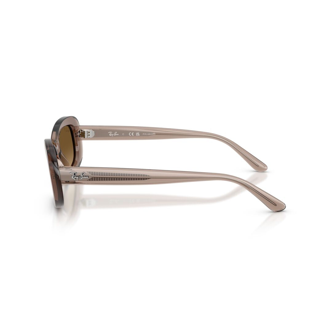 Gafas De Sol Ray-Ban 0RB2221 Mujer Color Bige