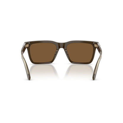 Gafas De Sol Emporio Armani 0EA4262U Hombre Color Café
